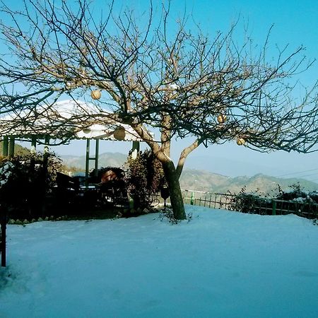 The Swiss Village Resort Nainital Kültér fotó