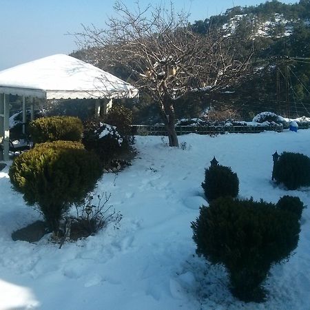 The Swiss Village Resort Nainital Kültér fotó