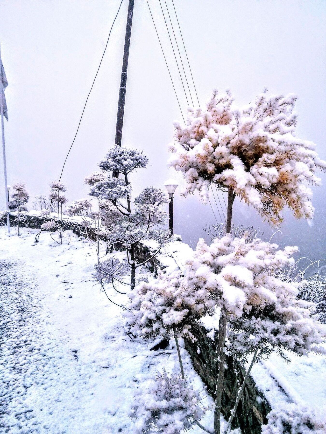 The Swiss Village Resort Nainital Kültér fotó